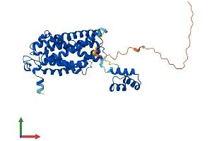 Protein Structure (PS) image for Ceramide Synthase 6 (CERS6) (AA 1-384) protein (His tag) (ABIN7553174)