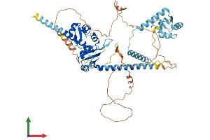 AlphaFold protein structure predicition of Mouse Recombinant Larp7 Protein, UniprotID Q05CL8 (LARP7 Protein (AA 1-570) (His tag))