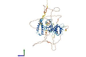 AlphaFold protein structure predicition of Mouse Recombinant Sh2b2 Protein, UniprotID Q9JID9