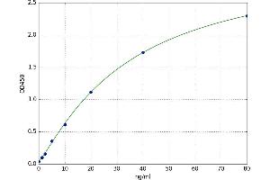 Peptidylprolyl Isomerase A (Cyclophilin A) (PPIA) ELISA Kit