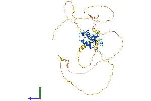 Protein Structure (PS) image for Forkhead Box D4-Like 1 (FOXD4L1) (AA 1-408) protein (His tag) (ABIN7547757)