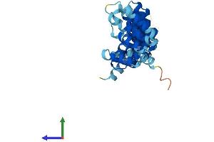 Protein Structure (PS) image for N-Ethylmaleimide-Sensitive Factor Attachment Protein, alpha (NAPA) (AA 1-295) protein (His tag) (ABIN7561250)