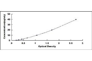 Typical standard curve (Glutaredoxin 1 ELISA 试剂盒)