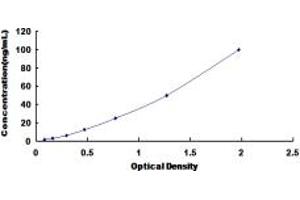 Typical standard curve (PALMD ELISA 试剂盒)