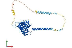 AlphaFold protein structure predicition of Human Recombinant BRIX1 Protein, UniprotID Q8TDN6