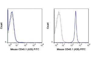 Flow Cytometry of anti-CD45. (CD45.1 抗体  (FITC))