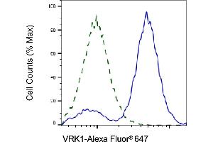 Validation of VRK1 knockdown using flow cytometry.