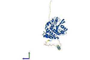 Protein Structure (PS) image for Glutaminyl-Peptide Cyclotransferase-Like (QPCTL) (AA 1-383) protein (His tag) (ABIN7558615)
