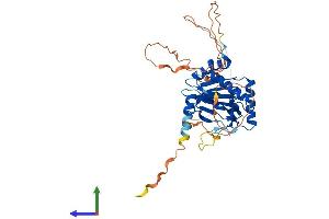 AlphaFold protein structure predicition of Human Recombinant EGLN2 Protein, UniprotID Q96KS0