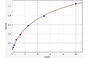 c-MYC ELISA 试剂盒