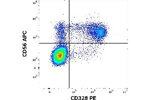 Flow cytometry multicolor surface staining of human peripheral whole blood stained using anti-human CD328 (6-434) PE antibody (10 μL reagent / 100 μL of peripheral whole blood) and anti-human CD56 (LT56) APC antibody (10 μL reagent / 100 μL of peripheral whole blood). (SIGLEC7 抗体  (PE))