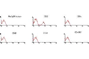ELISA image for Mouse anti-Rat IgG1 antibody (FITC) (ABIN371211) (小鼠 anti-大鼠 IgG1 Antibody (FITC))