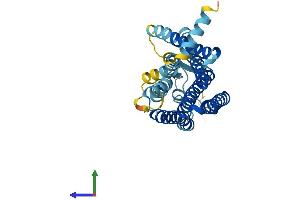 Protein Structure (PS) image for Olfactory Receptor, Family 1, Subfamily F, Member 1 (OR1F1) (AA 1-312) protein (His tag) (ABIN7550233)
