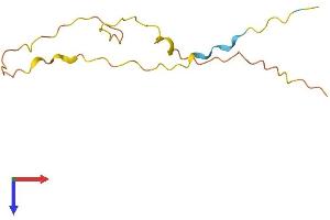 Small Proline Rich Like Protein 1B (SPRL1B) (AA 1-110) protein (His tag)