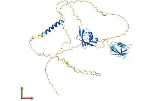 AlphaFold protein structure predicition of Mouse Recombinant Nfatc2ip Protein, UniprotID O09130