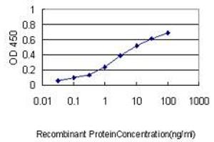 Detection limit for recombinant GST tagged KNTC2 is approximately 0. (NDC80 抗体  (AA 545-642))