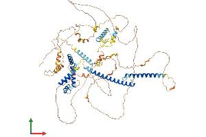 AlphaFold protein structure predicition of Mouse Recombinant Mlxipl Protein, UniprotID Q99MZ3