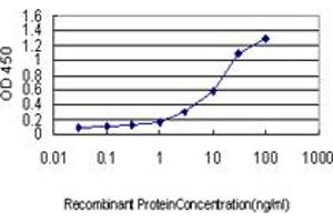 Detection limit for recombinant GST tagged CSE1L is approximately 0. (Exportin 2 抗体  (AA 872-971))