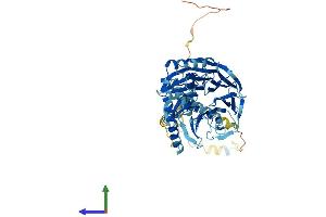 Protein Structure (PS) image for PRP4 Pre-mRNA Processing Factor 4 Homolog (PRPF4) (AA 1-522) protein (His tag) (ABIN7550990)