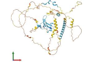 Protein Structure (PS) image for Yes-Associated Protein 1 (YAP1) (AA 1-504) protein (His tag) (ABIN7556059)