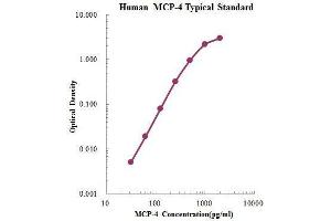Chemokine (C-C Motif) Ligand 13 (CCL13) ELISA Kit