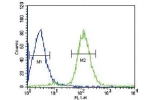Flow Cytometry (FACS) image for anti-Von Hippel-Lindau Tumor Suppressor, E3 Ubiquitin Protein Ligase (VHL) (AA 43-71) antibody (ABIN3029605)