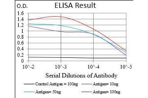 Black line: Control Antigen (100 ng), Purple line: Antigen(10 ng), Blue line: Antigen (50 ng), Red line: Antigen (100 ng), (GABBR2 抗体  (AA 319-483))