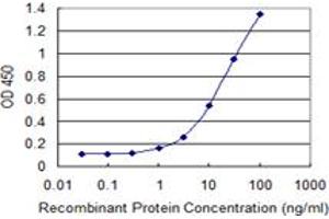 Detection limit for recombinant GST tagged ZNF268 is 0. (ZNF268 抗体  (AA 1-90))
