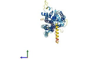 AlphaFold protein structure predicition of Human Recombinant TMEM161B Protein, UniprotID Q8NDZ6
