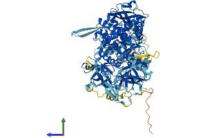 Protein Structure (PS) image for Exosome Complex Exonuclease RRP44 (DIS3) (AA 1-958) protein (His tag) (ABIN7555274)