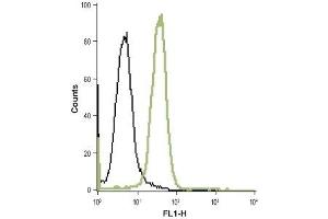 Flow Cytometry (FACS) image for anti-Neurotrophic Tyrosine Kinase, Receptor, Type 2 (NTRK2) (AA 57-70), (Extracellular) antibody (ABIN7043388)
