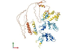 Protein Structure (PS) image for Zinc Finger Protein 214 (ZNF214) (AA 1-606) protein (His tag) (ABIN7545790)