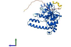 Protein Structure (PS) image for Flap Structure-Specific Endonuclease 1 (FEN1) (AA 1-380) protein (His tag) (ABIN7553900)