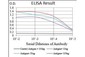 ELISA image for anti-serpin Peptidase Inhibitor, Clade A (Alpha-1 Antiproteinase, Antitrypsin), Member 3 (SERPINA3) (AA 279-432) antibody (ABIN5684069)