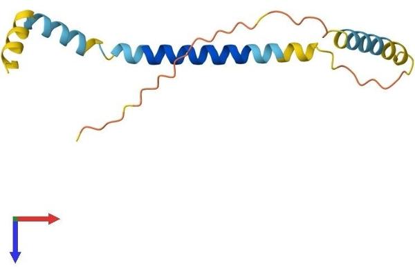 SLC51B Protein (AA 1-128) (His tag)