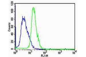 Flow cytometric analysis of Jurkat cells using HTR1A Antibody (Center)(green, Cat(ABIN6242991 and ABIN6577398)) compared to an isotype control of rabbit IgG(blue). (Serotonin Receptor 1A 抗体  (AA 239-273))