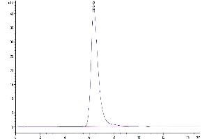 The purity of Biotinylated Human Nectin-3 is greater than 95 % as determined by SEC-HPLC. (nectin-3 Protein (AA 58-400) (His-Avi Tag,Biotin))