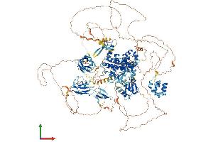 AlphaFold protein structure predicition of Mouse Recombinant Hecw1 Protein, UniprotID Q8K4P8
