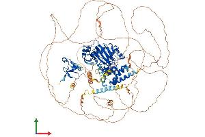 AlphaFold protein structure predicition of Mouse Recombinant Phf2 Protein, UniprotID Q9WTU0