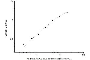 ADAMTS7 ELISA 试剂盒