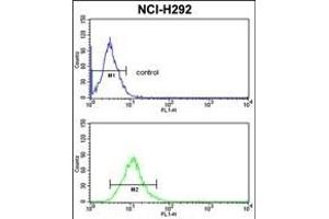 C Antibody (N-term) (ABIN389410 and ABIN2839497) flow cytometric analysis of NCI- cells (bottom histogram) compared to a negative control cell (top histogram). (CD166 抗体  (N-Term))