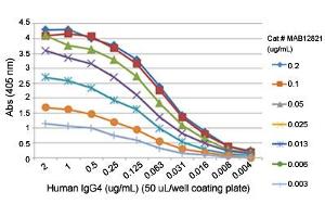 ELISA analysis of Human IgG4 monoclonal antibody, clone RM120  at the following concentrations: 0. (兔 anti-人 Immunoglobulin Heavy Constant gamma 4 (G4m Marker) (IGHG4) Antibody)