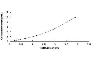 Typical standard curve (Mesothelin ELISA 试剂盒)