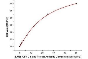 Image no. 5 for anti-Coronavirus Spike Glycoprotein (CoV S) antibody (ABIN7266506)