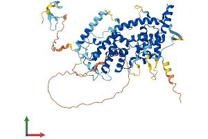 AlphaFold protein structure predicition of Mouse Recombinant Taf1b Protein, UniprotID P97358