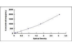 S100 Calcium Binding Protein A4 (S100A4) ELISA Kit