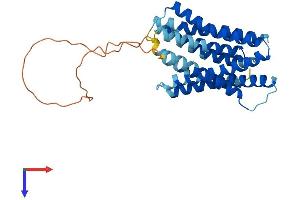 SLC39A3 Protein (AA 1-317) (His tag)