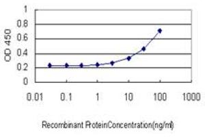 Detection limit for recombinant GST tagged DUSP4 is approximately 3ng/ml as a capture antibody. (DUSP4 抗体  (AA 1-394))