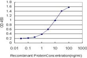 Detection limit for recombinant GST tagged FMN2 is approximately 0. (Formin 2 抗体  (AA 144-243))