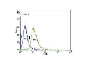 Flow cytometric analysis of CEM cells (right histogram) compared to a negative control cell (left histogram). (DRD4 抗体  (AA 365-391))